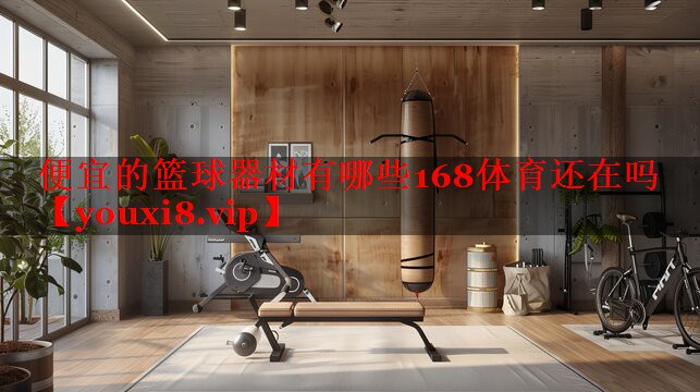 便宜的篮球器材有哪些168体育还在吗